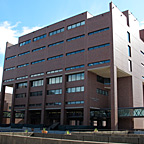Healey Library