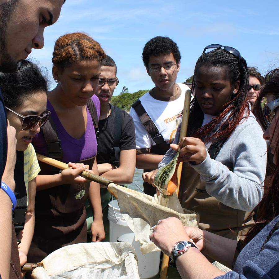 Students gather round a sample in a net on beach in Nantucket.