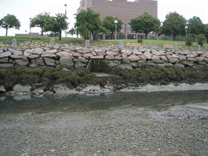 clip_photo002_stormwater.gif