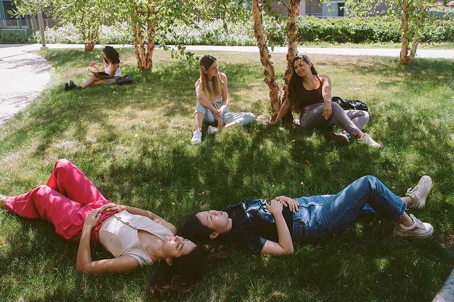 students relaxing randomly under campus trees