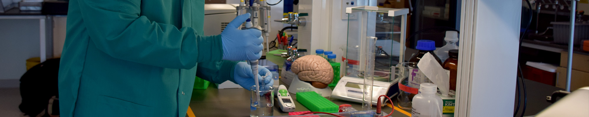 brain_hunterlab_mar2015_ll_cibn.jpg