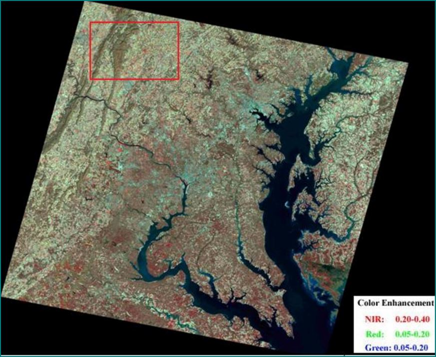 landsat_white_sky_albedo_composite_2001