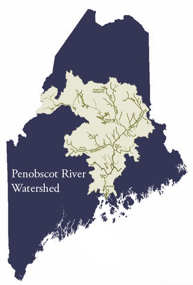 Penobscot_Watershed_DOC