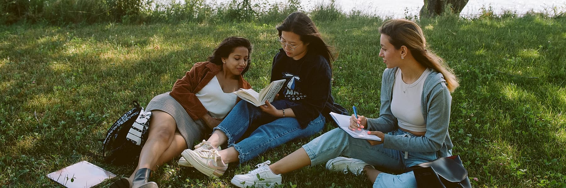 Three students study on campus outside under a tree.