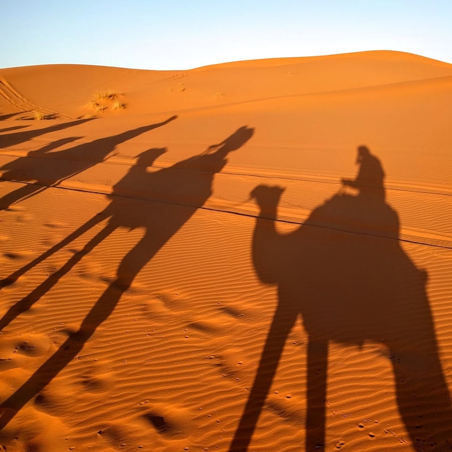 Silhouette shadows of people riding camels across sand dunes.