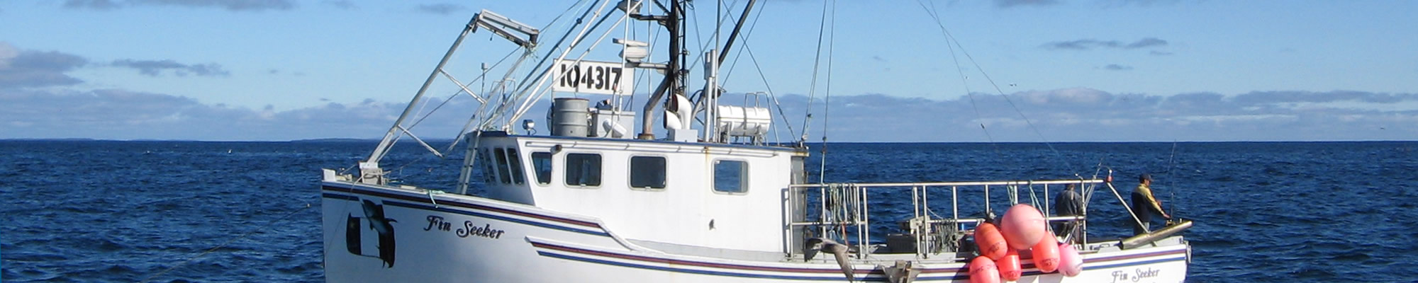 boat_palegics