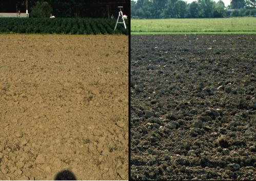 Side-by-side images of a barren field with rough surface: On the left shows backscattering that happens when the sun is behind the observer and on the right is the image with the sun opposite the observer (forward scattering.)