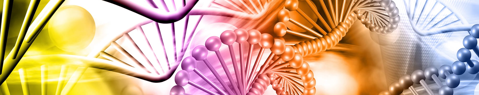 macoska-lab-dna-rainbow-129995758_123rf_-2000x400.jpeg