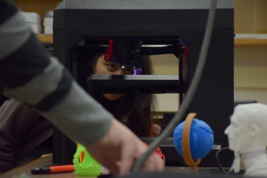 3D printer makerspace 2016