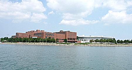 UMass Boston view from the water