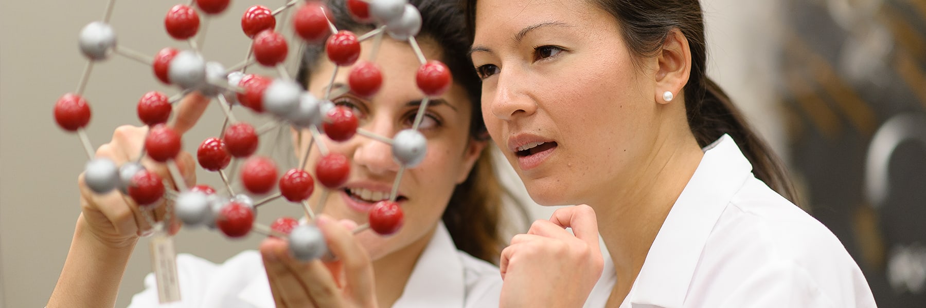 organic chemistry phd degree