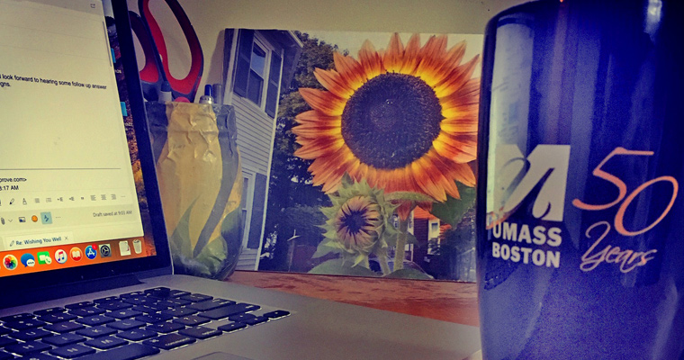 A laptop next to a photo of a sunflower and a UMass Boston 50 Years mug