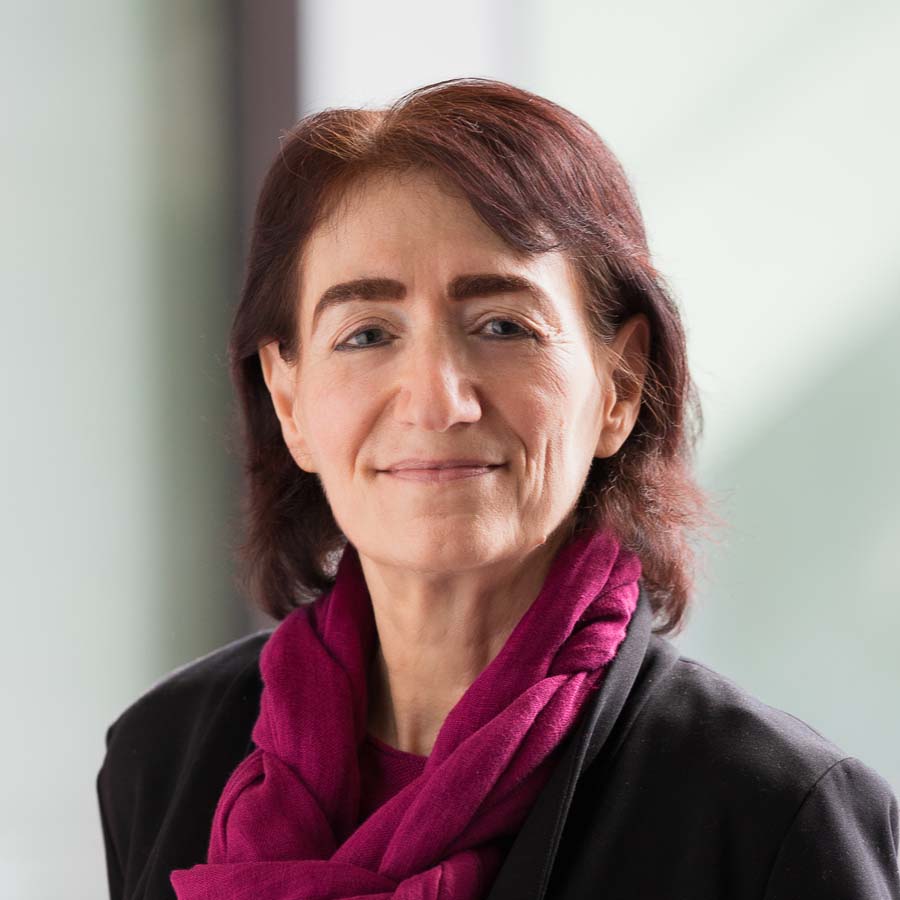 Hazel Sive, Dean & Professor, College of Science & Mathematics