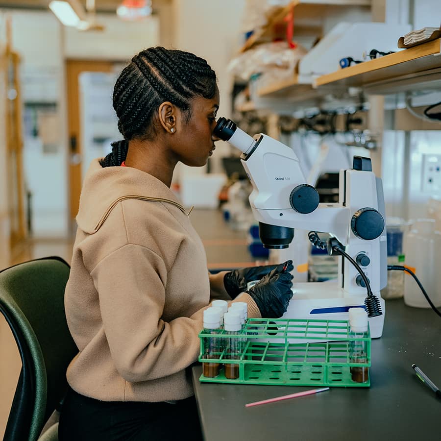 Student conducting research using a microscope.