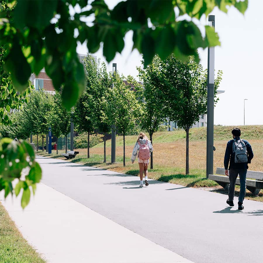 Students walking on paved path next to line of trees.