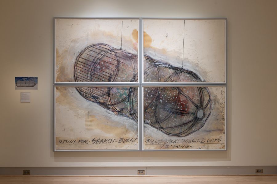 Image of Search Burst in the University Hall Gallery