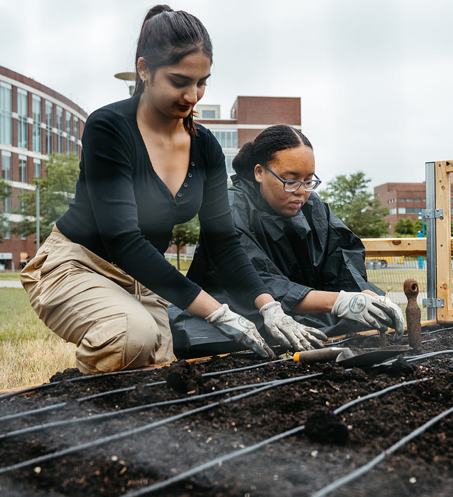 students and staff work in community