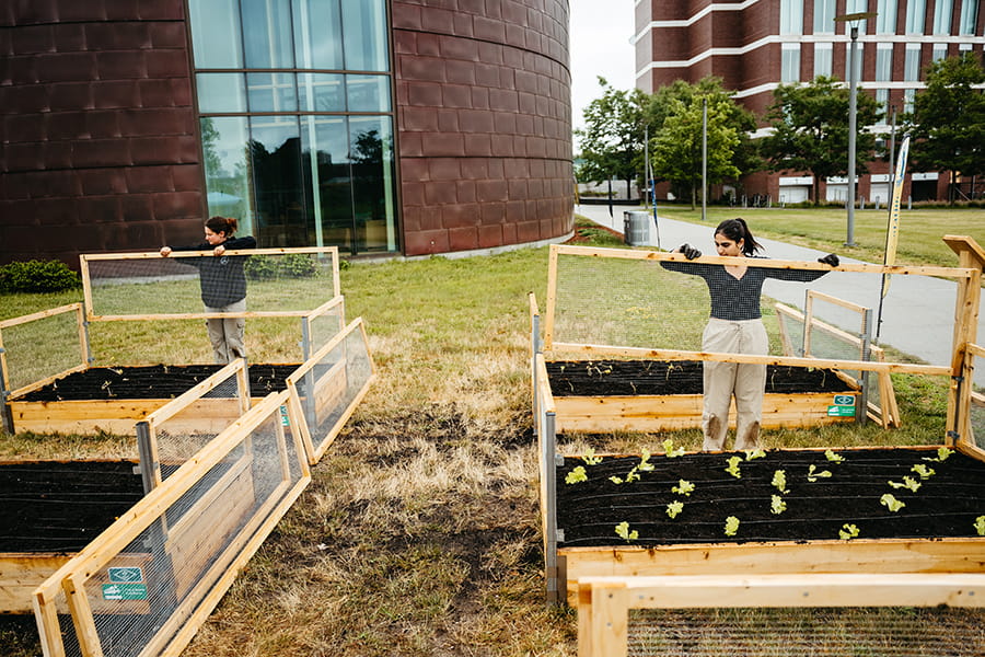 installing community garden