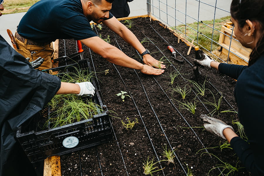 students and staff work in community