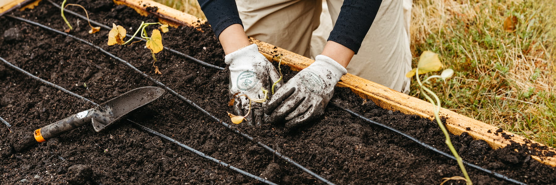 Sustainability Community Garden Event First Planting Green City Growers