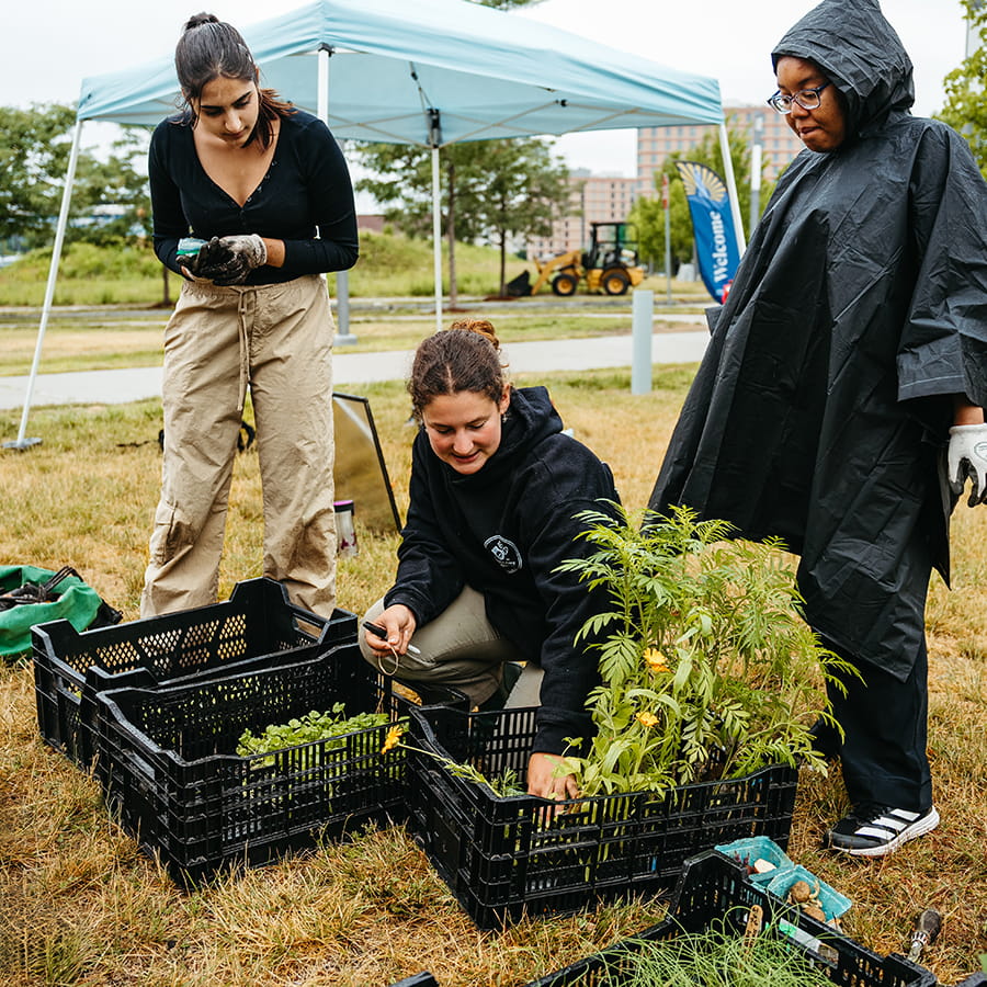 students and staff work in community garden