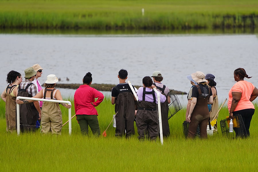 group of students carrying frames in tall grass by water.