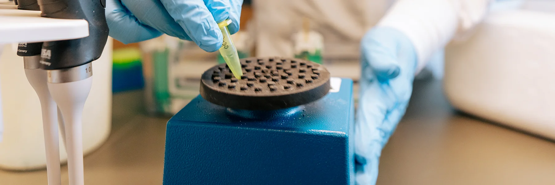 gloved hand holds plastic tool in lab.
