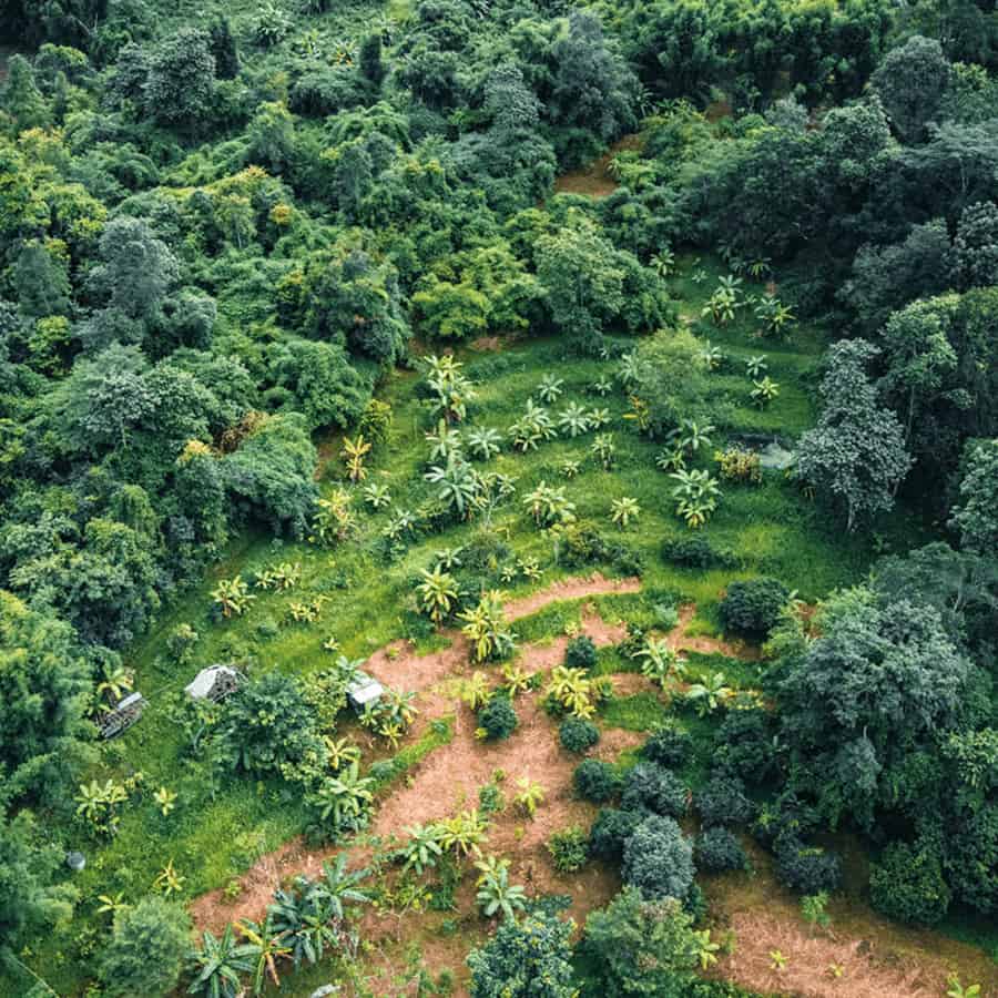 Aerial shot of farms and fields in a jungle.