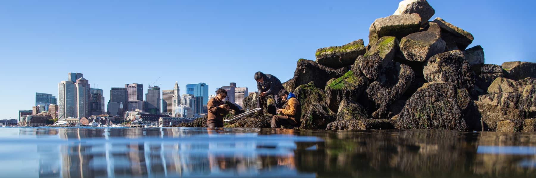 Researchers on sea rocks with Boston city skyline in the back.